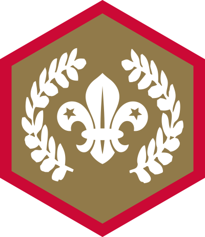 How To Earn A Chief Scout’s Award – 1st Holgate Scouts